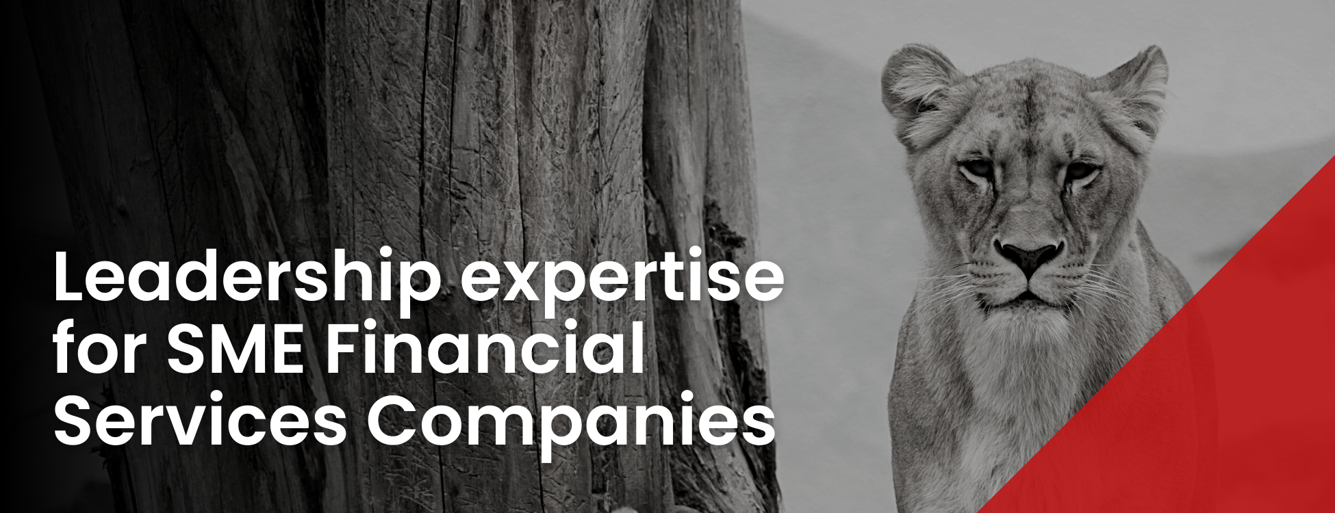 Leadership expertise for SME Financial Services Companies